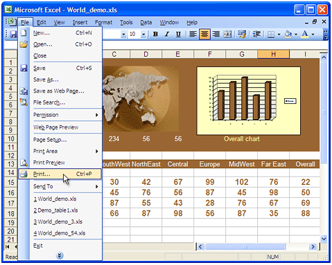 Open Excel file (*.xls) in Microsoft Excel and press File->Print... in the application main menu.