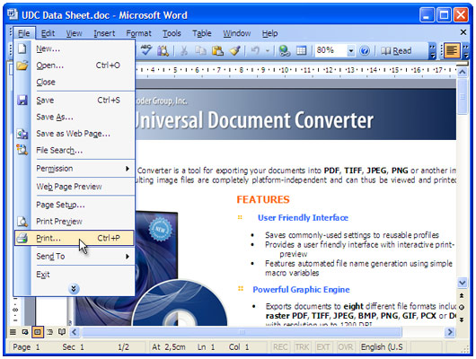 convert document to word file